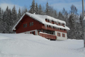 Vila Kamila, Janské Lázně